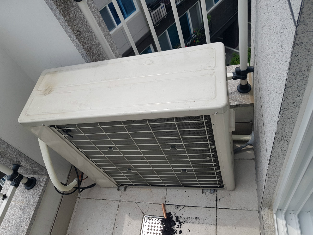 20180613_111737.jpg